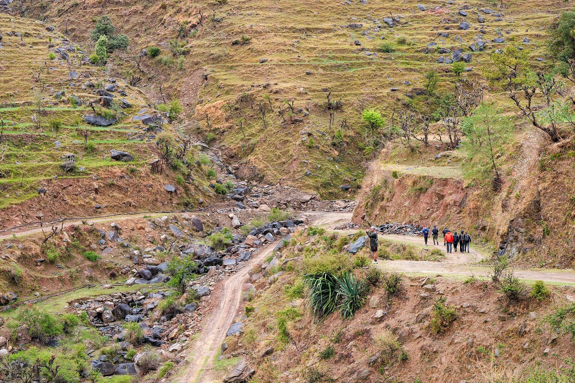 Trekkers walking a mountain road in Himachal Pradesh