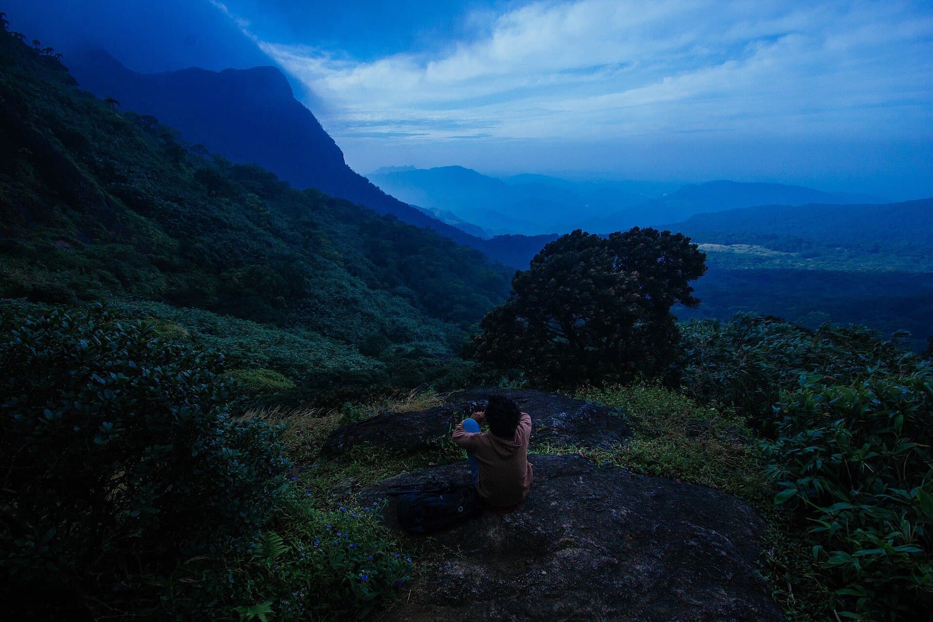 Misty hill ranges of the Agasthyamala Biosphere Reserve