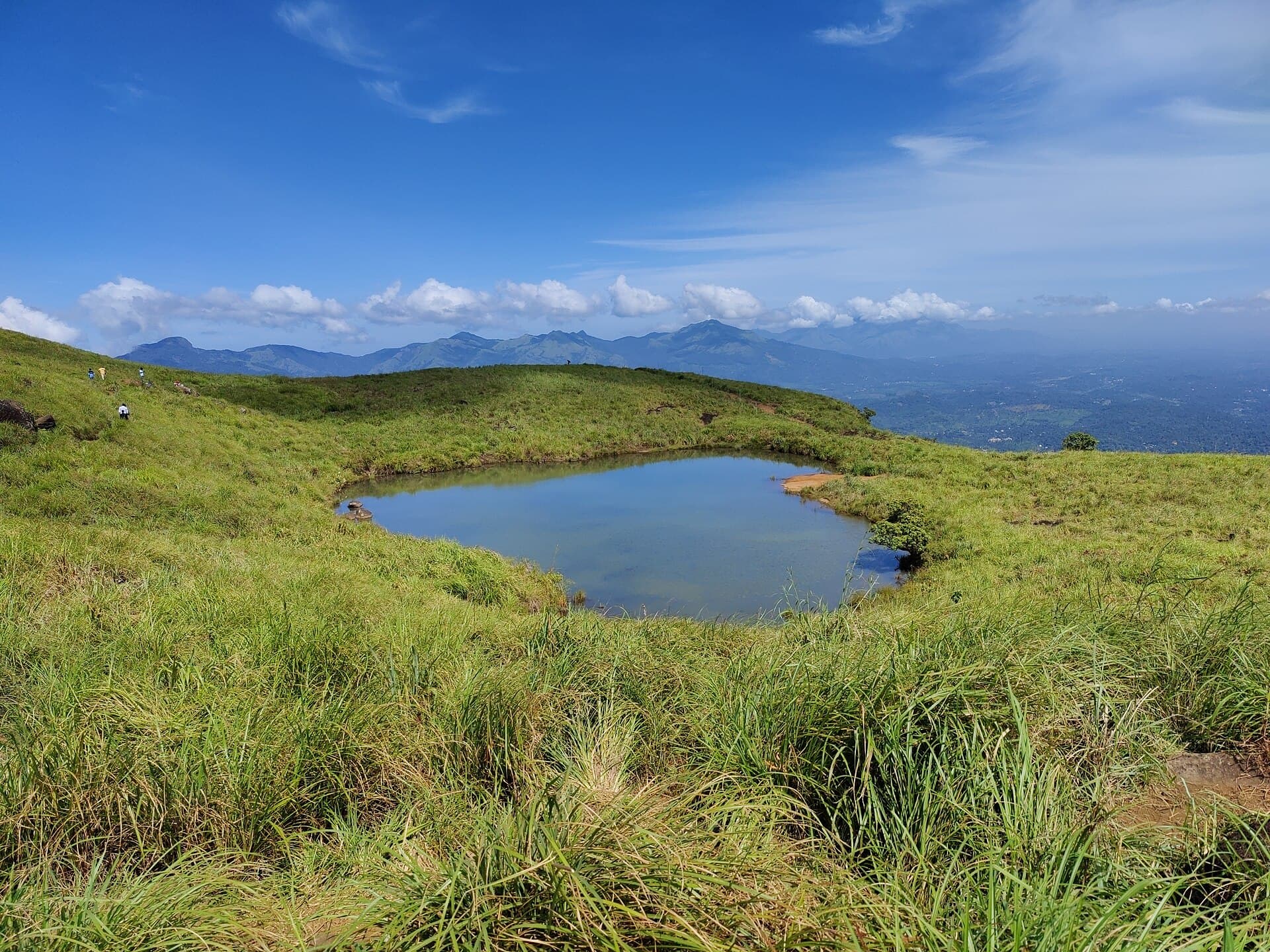 Heart-shaped lake near the summit of Chembra Peak surrounded by grassy hills