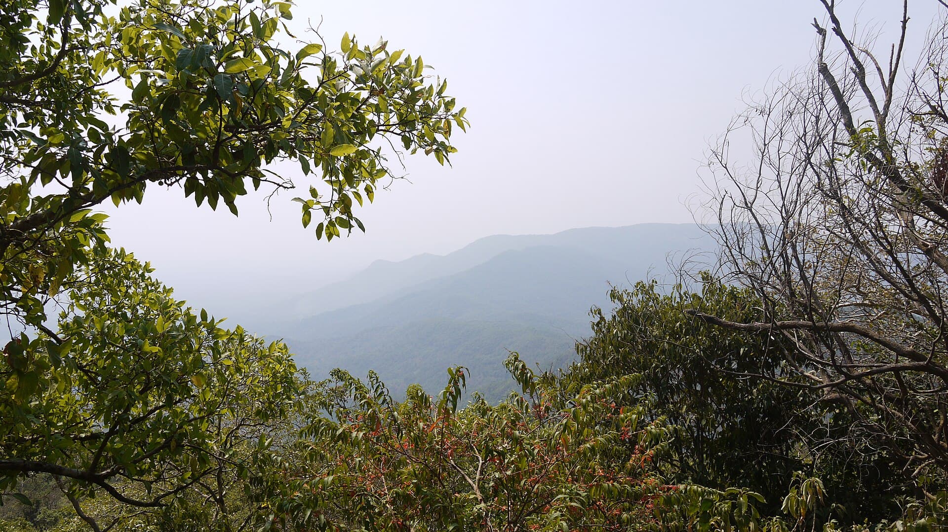 Twin cascade at Chorla Ghat on the Goa-Karnataka border