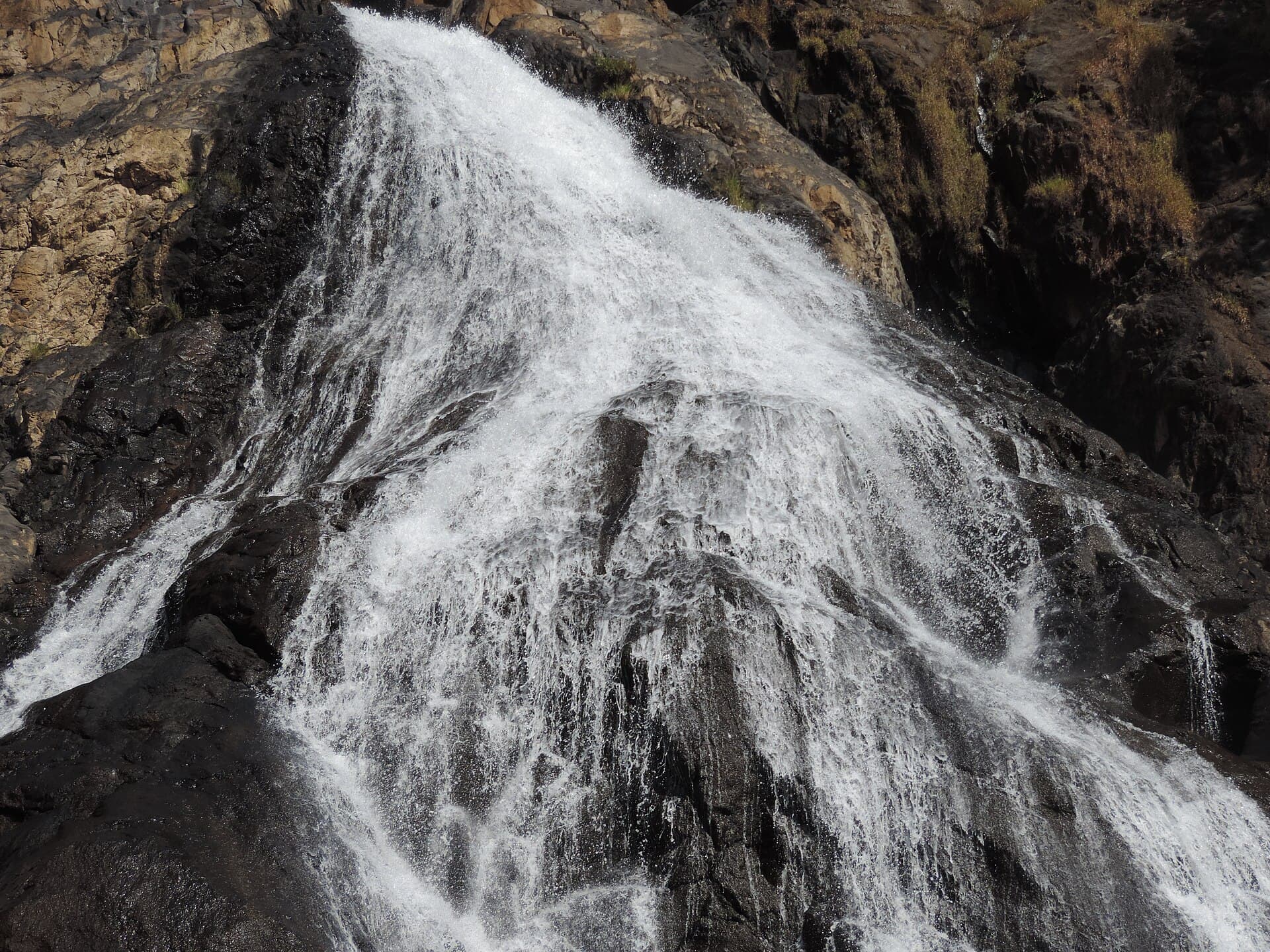 Dudhsagar Falls' milky cascade dropping over dark rock into the pool below, framed by rainforest