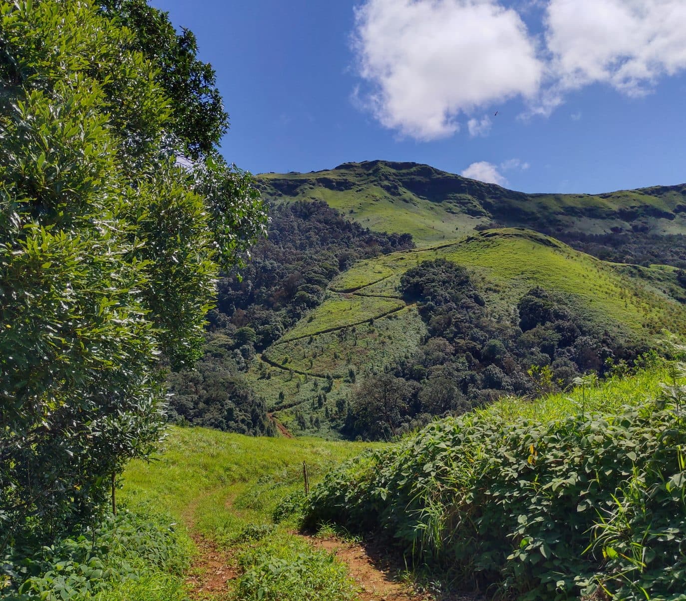Trail winding up through forest and grassland toward Gangadikal