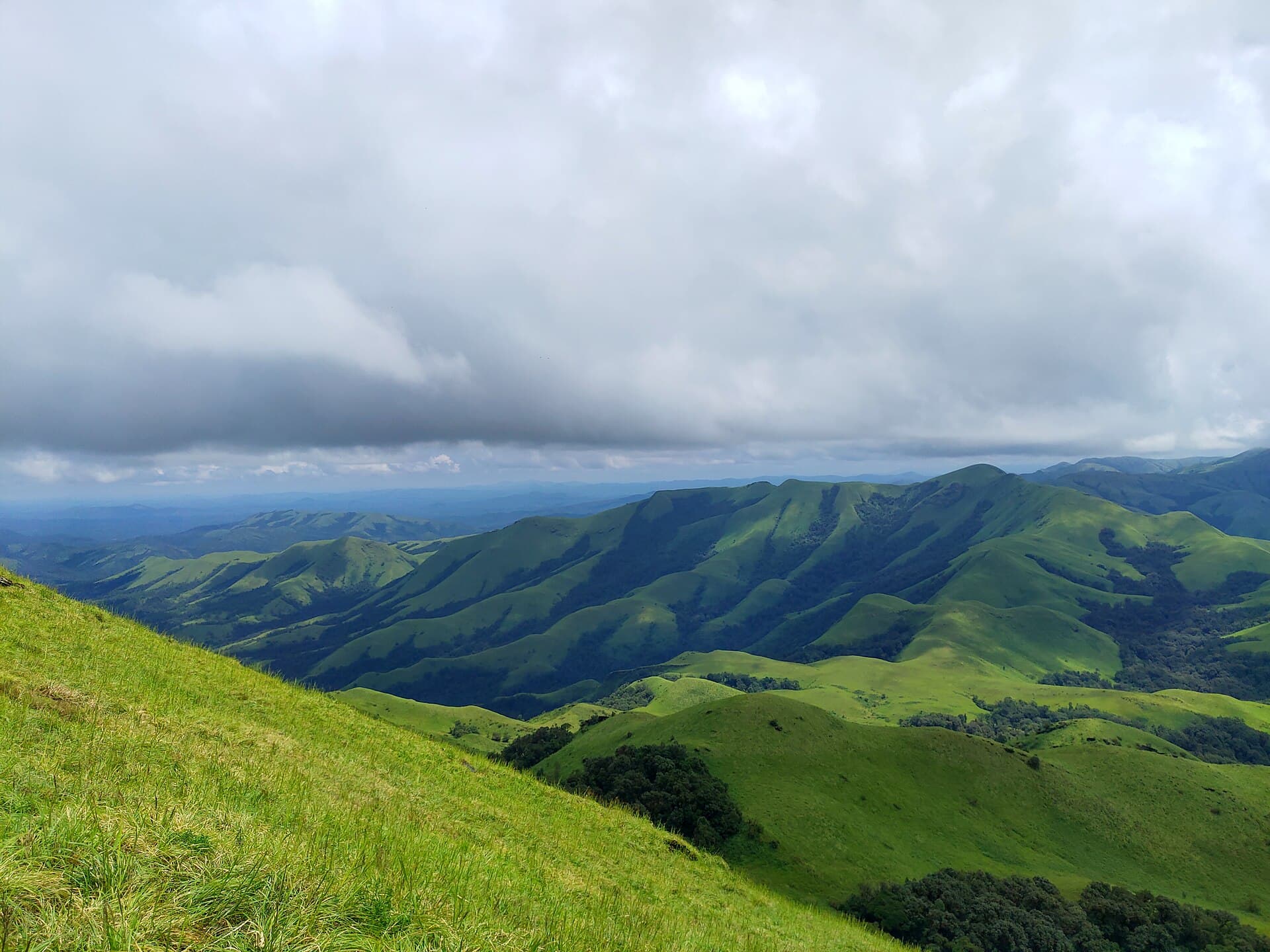 Rolling grassland ridge on the climb up Gangadikal, Kudremukh National Park