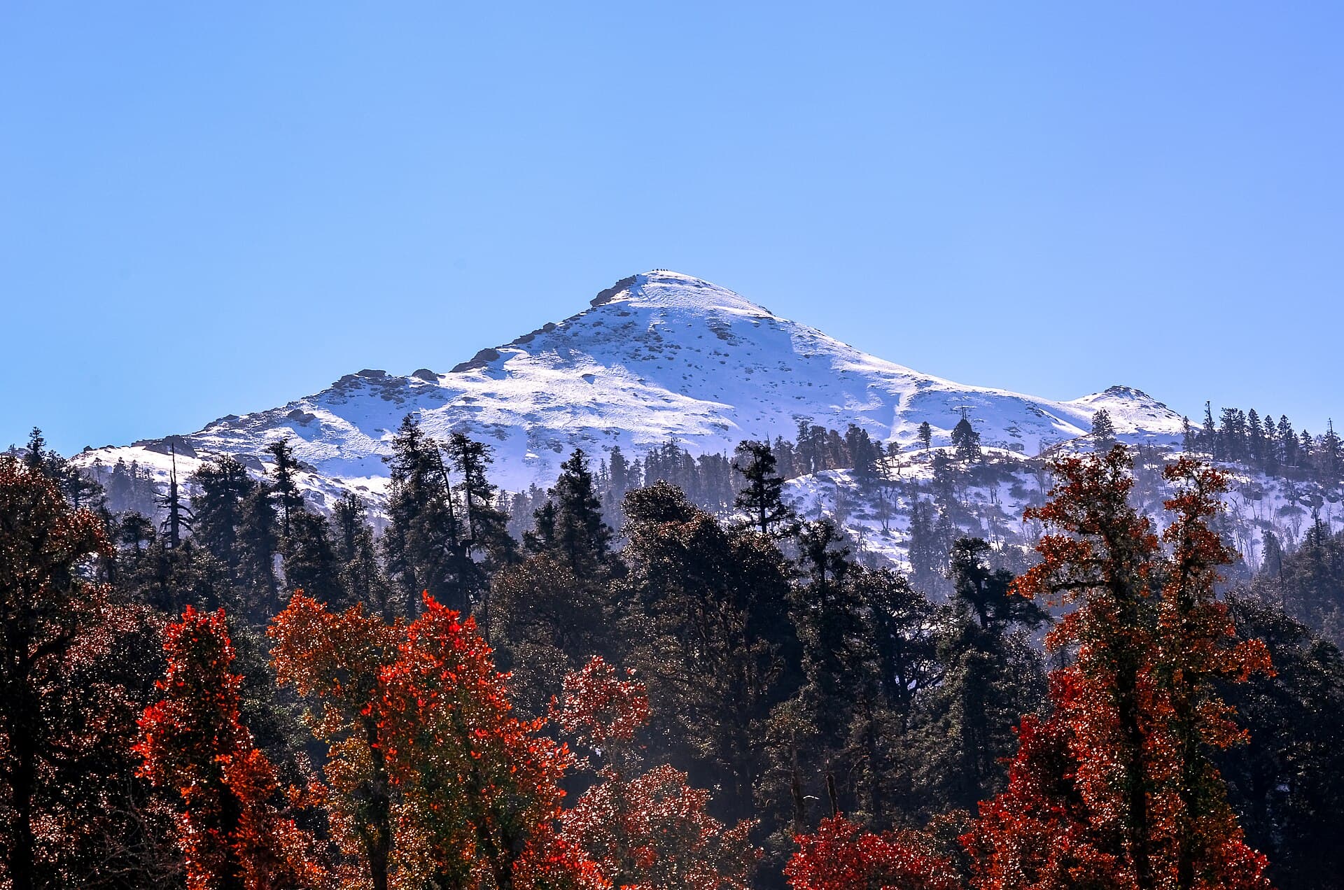 Snow-covered Kedarkantha peak rising above the forest line in the Garhwal Himalaya