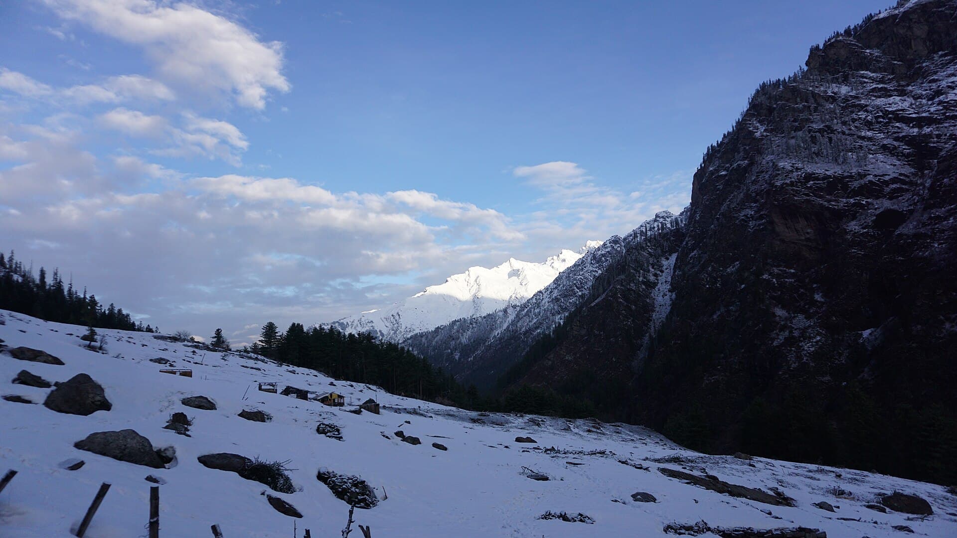 Misty forest trail near Kheerganga