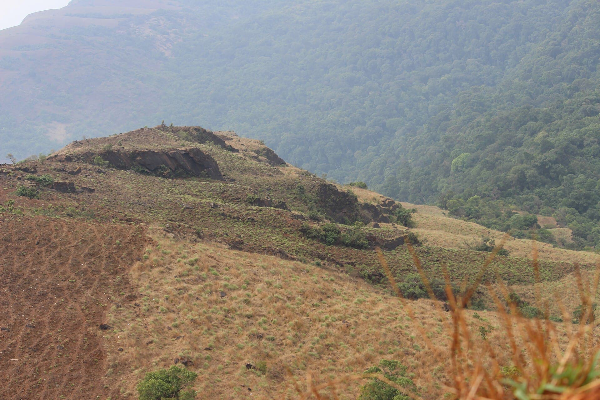 Mist clearing over a Western Ghats ridge at dawn