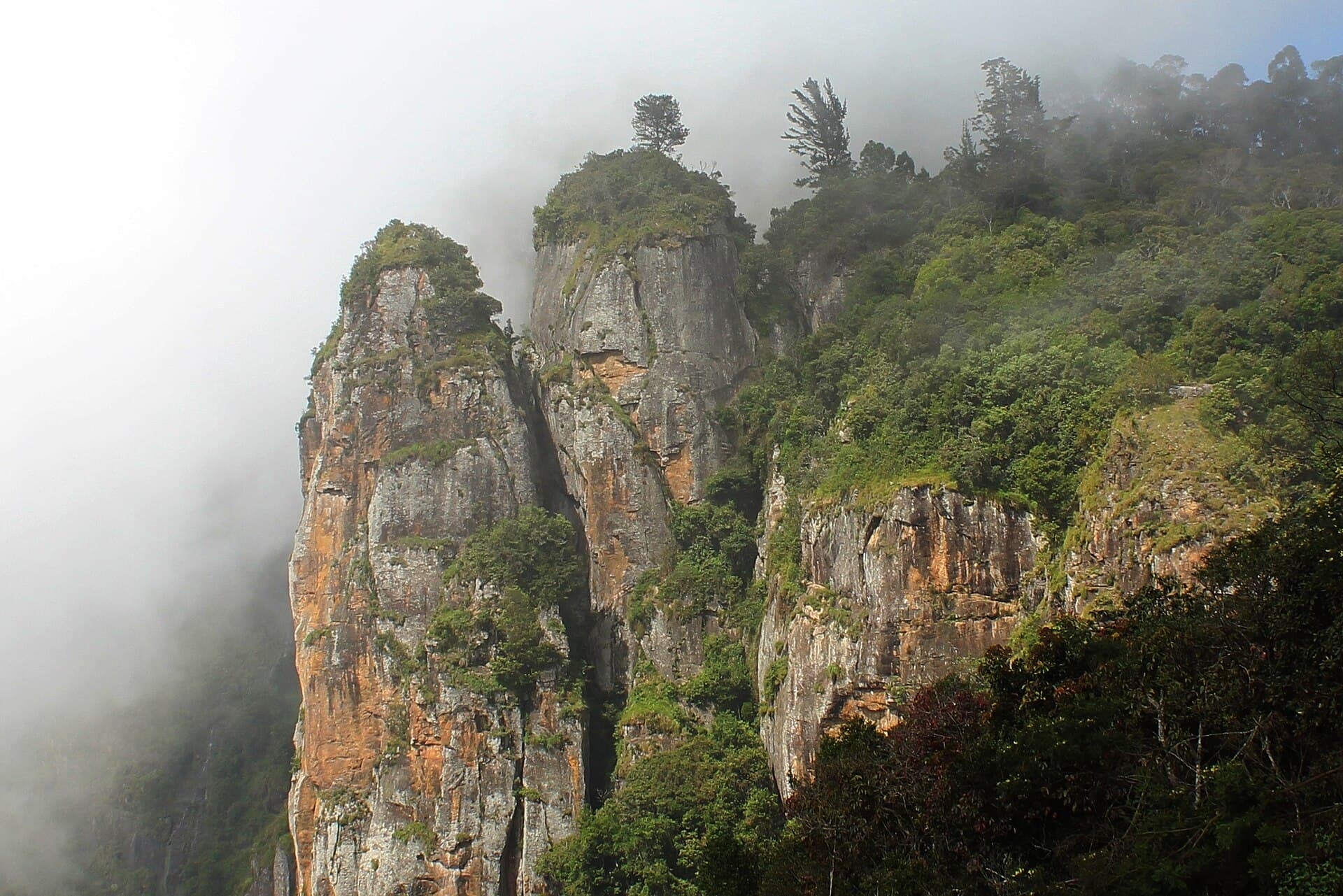 The granite spires of Pillar Rocks rising above the Kodaikanal valley