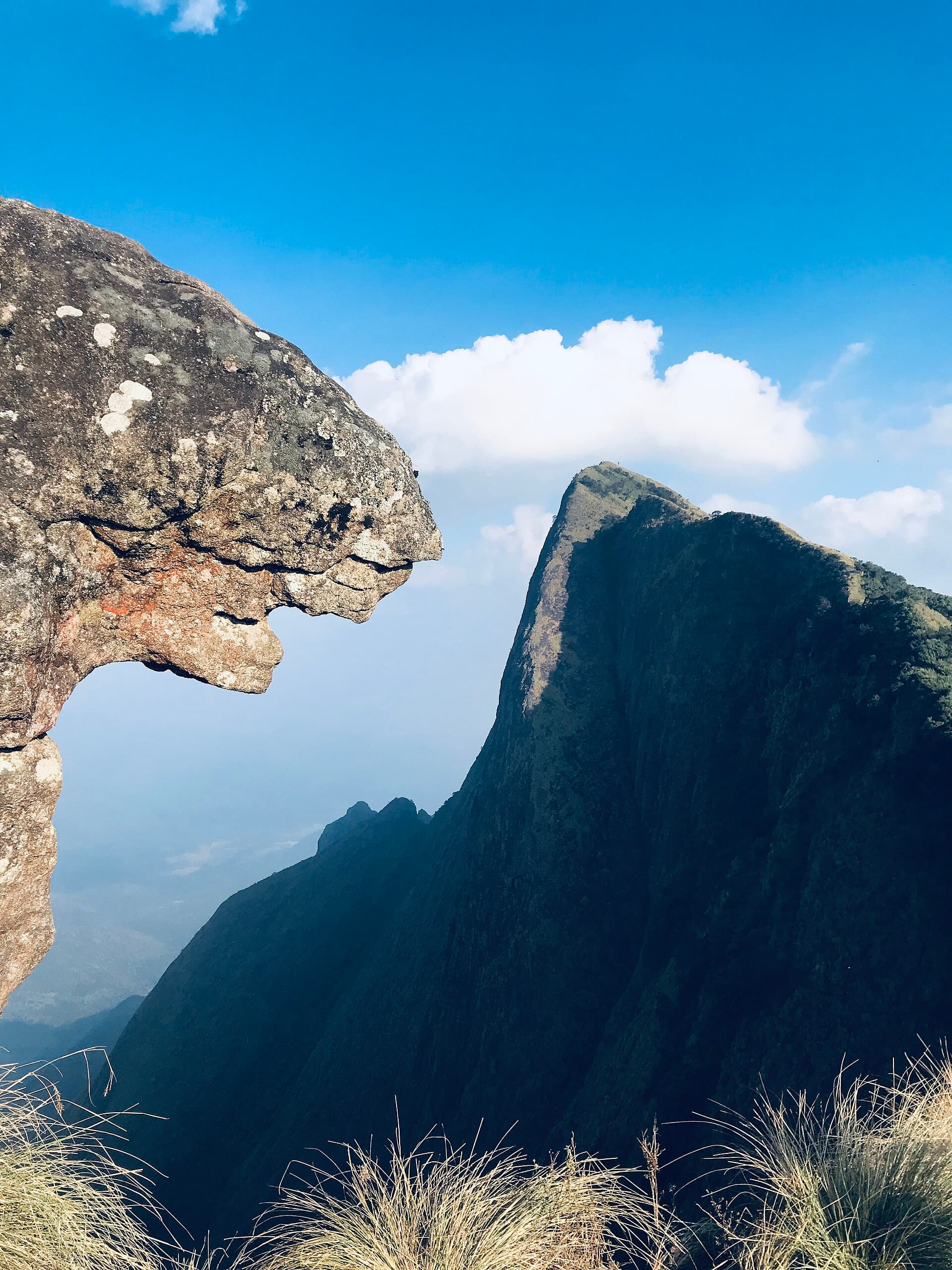 View from the top of Kolukkumalai overlooking the tea estate