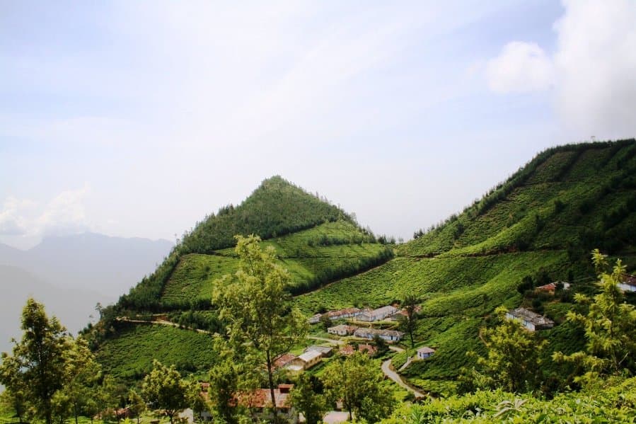 Rows of tea bushes climbing the slopes near Kolukkumalai