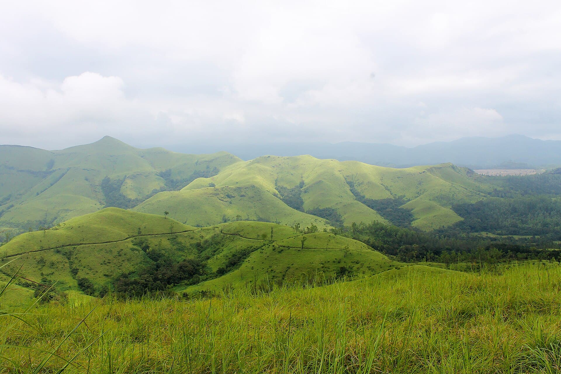 Shola forest and grassland valley along the Kudremukh trail