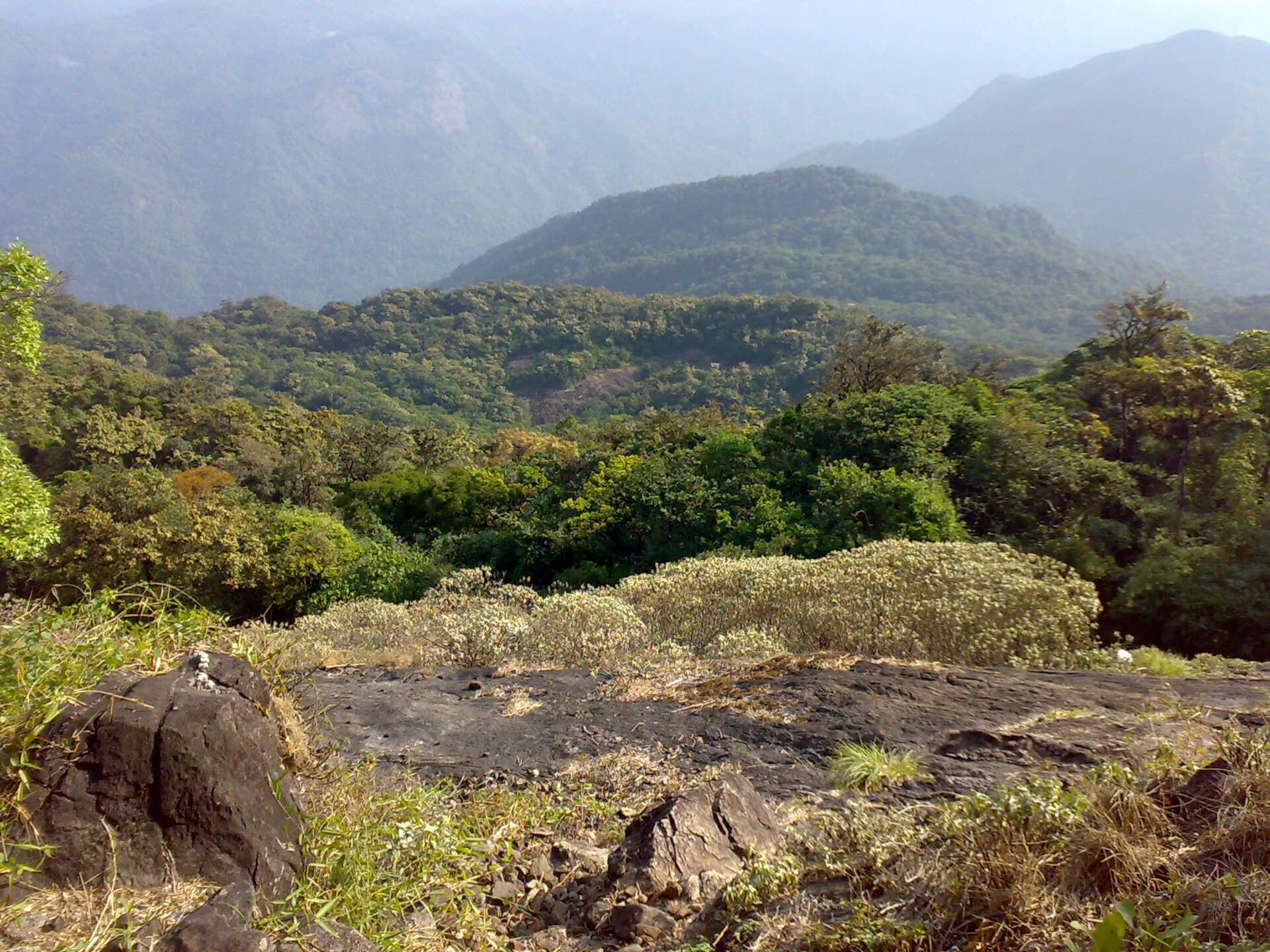 View from the summit of Pushpagiri (Kumara Parvatha)
