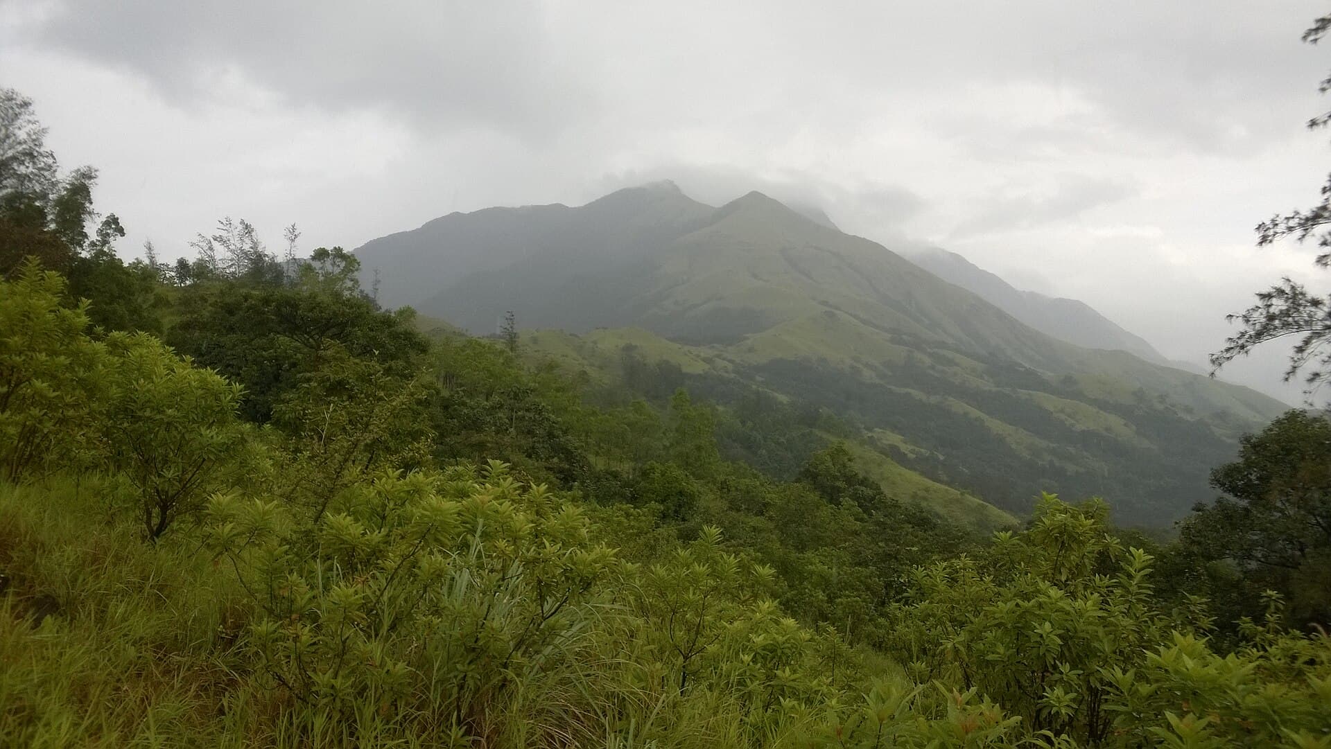 Forested hill ranges of the Pushpagiri (Kumara Parvatha) range in the Western Ghats, Karnataka