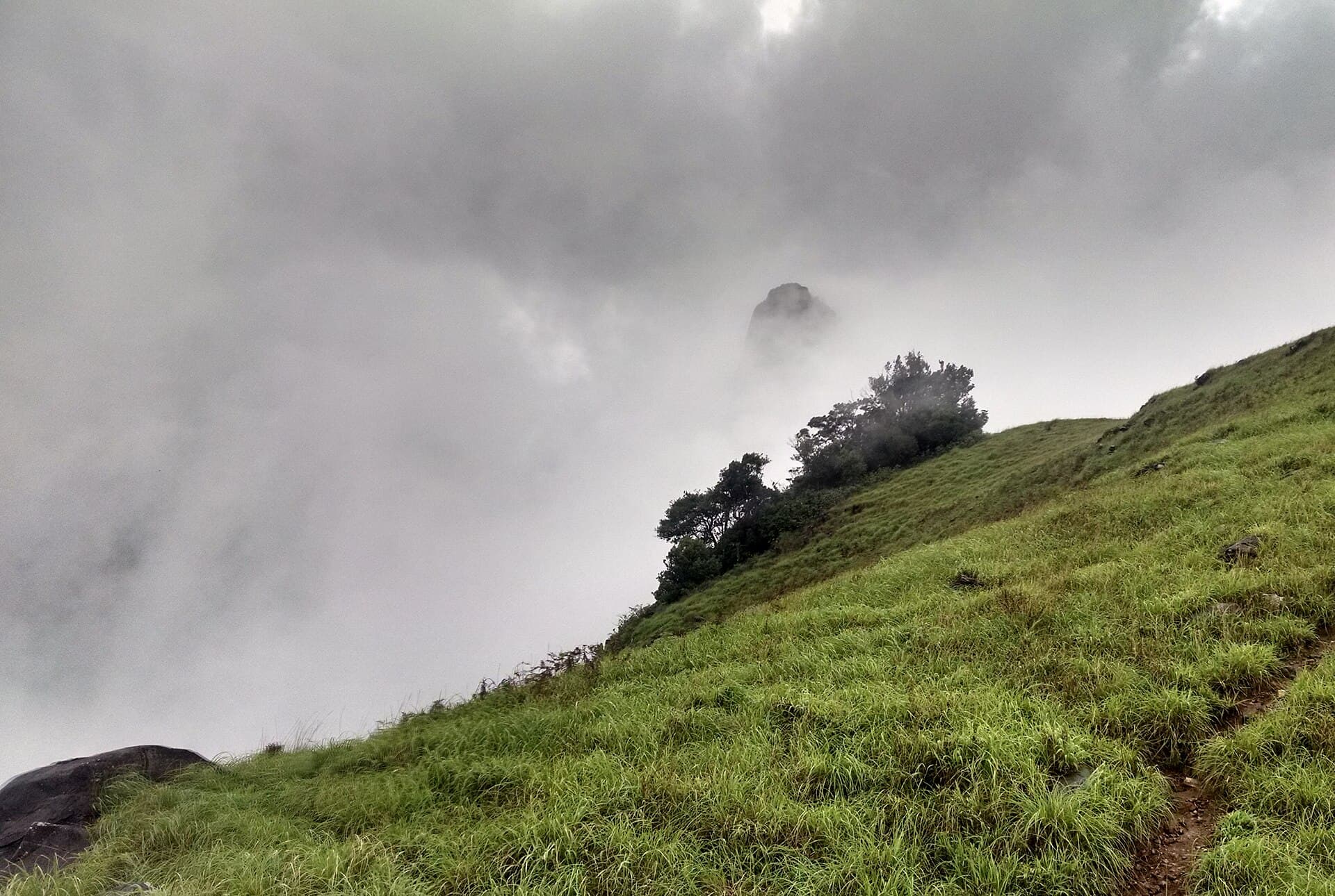 Kurinjal peak partly hidden in drifting cloud, Kudremukh National Park