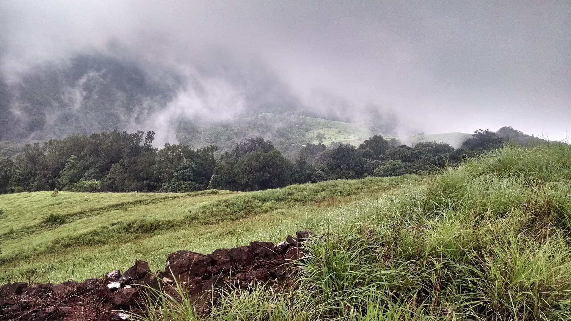 Grassland and forest meeting cloud near Kurinjal peak