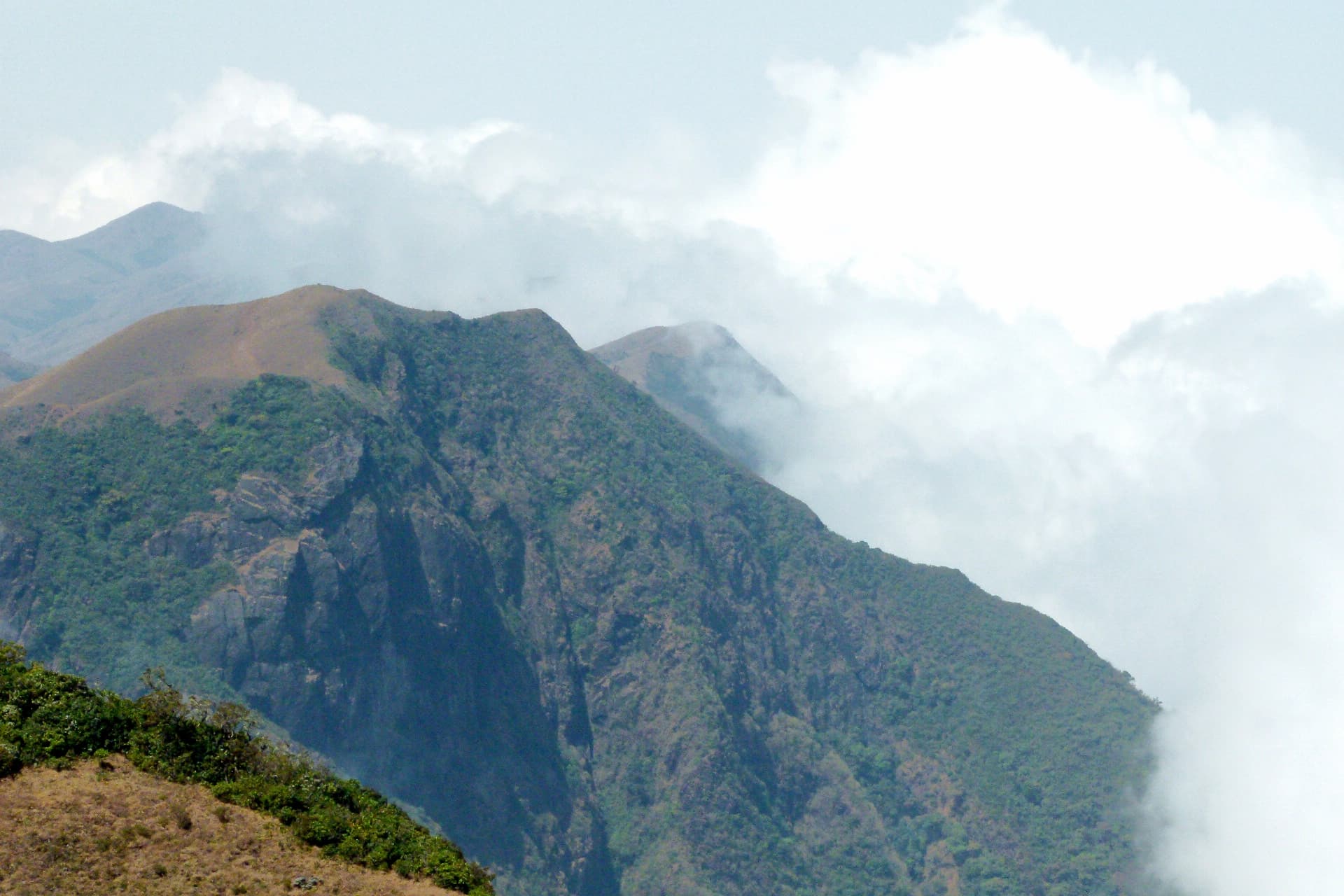 Cliffs and grassland terrain within Mukurthi National Park