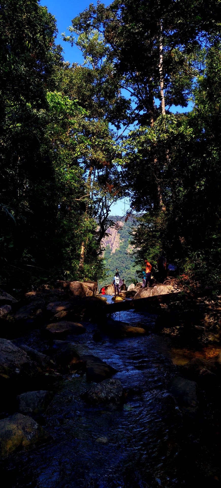 Barkana Falls stream crossing along the Narasimha Parvatha trail