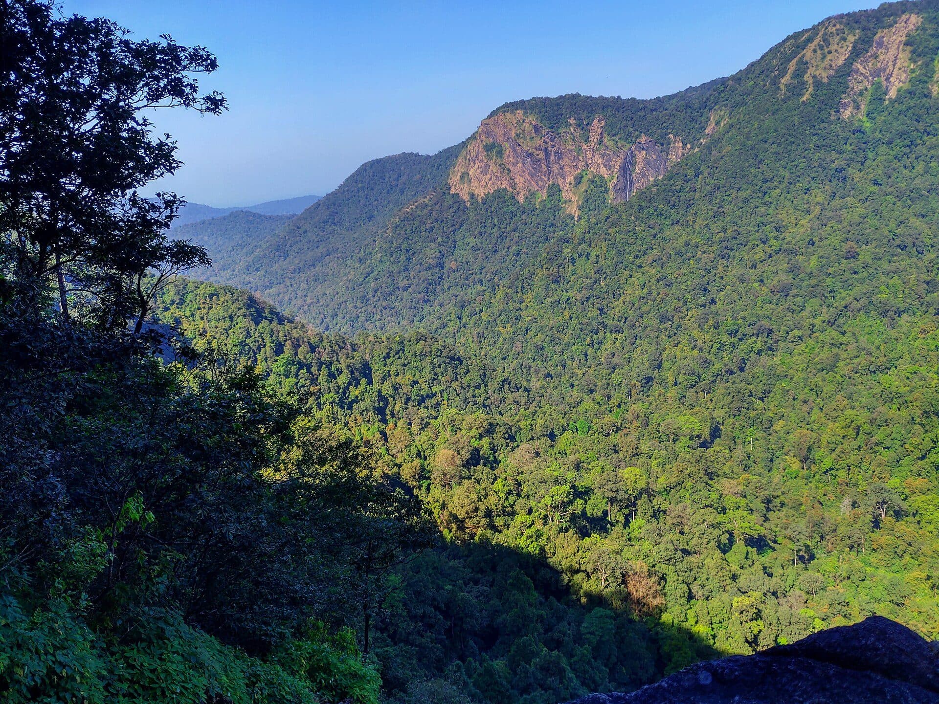 Forested ridge and cliff face along the Narasimha Parvatha trail near Agumbe, with a waterfall visible on the rock face