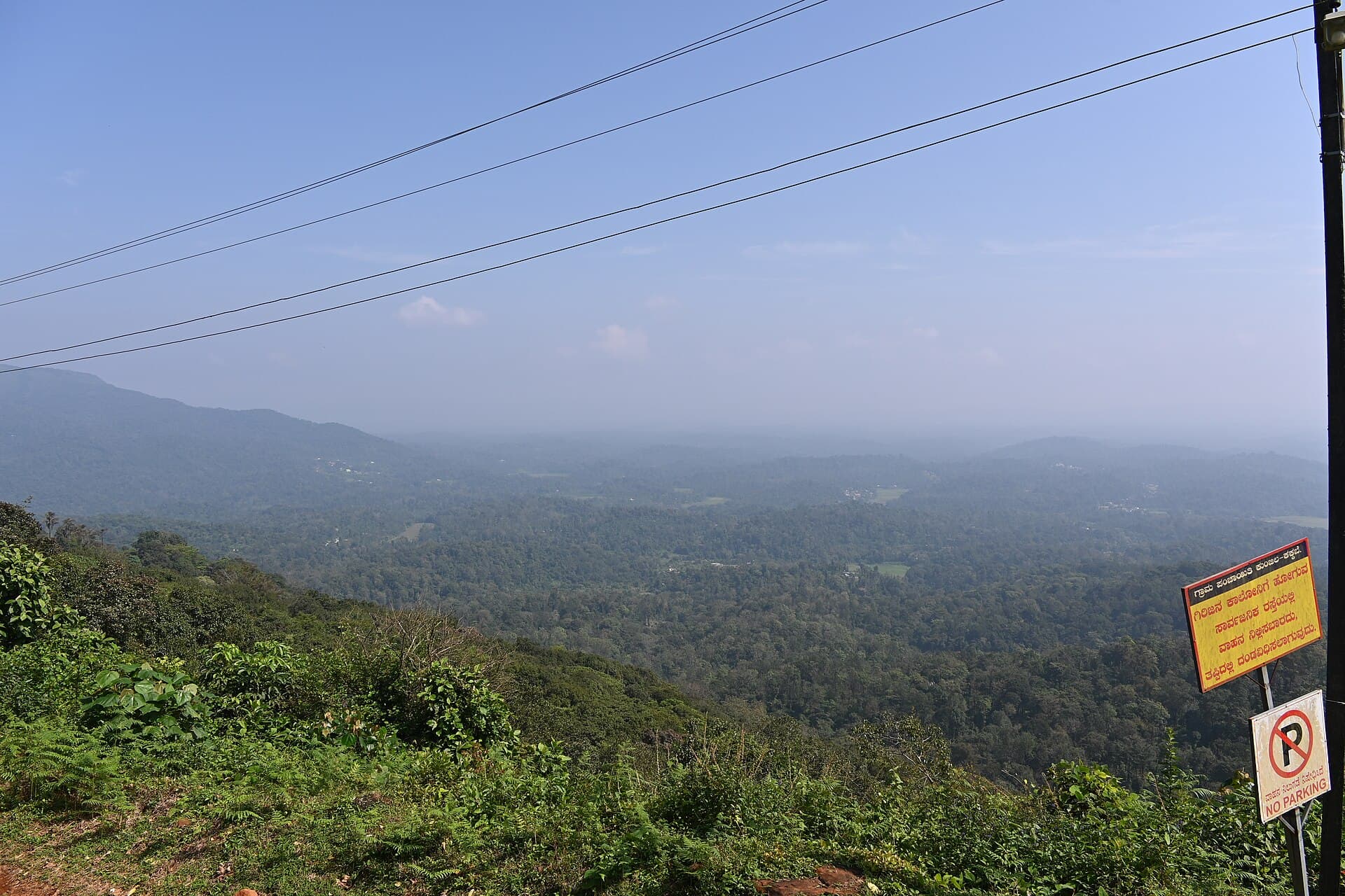 Rolling shola-and-grassland landscape on the Tadiandamol massif