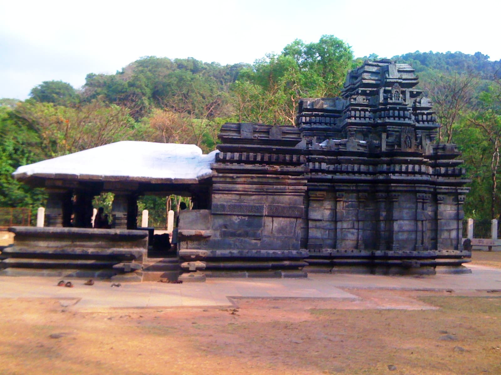 Forest trail near the Tambdi Surla temple