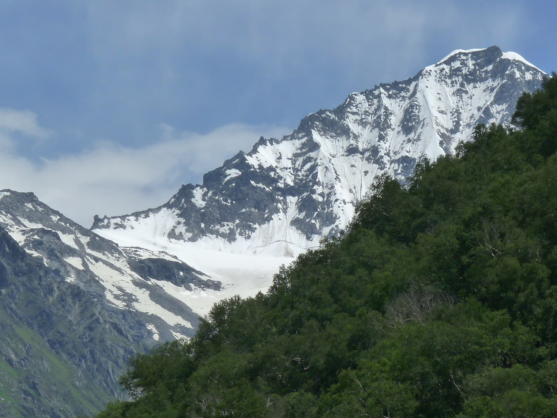 Snow-capped peaks rising above the alpine meadow at Valley of Flowers National Park