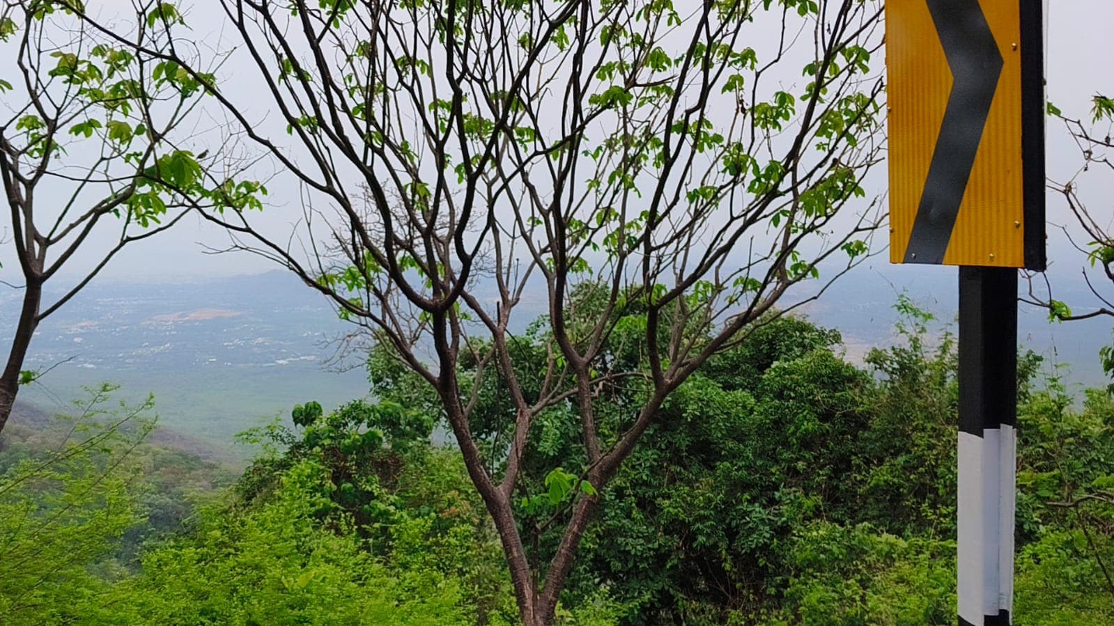 Lush forested slopes in the hills around Yercaud