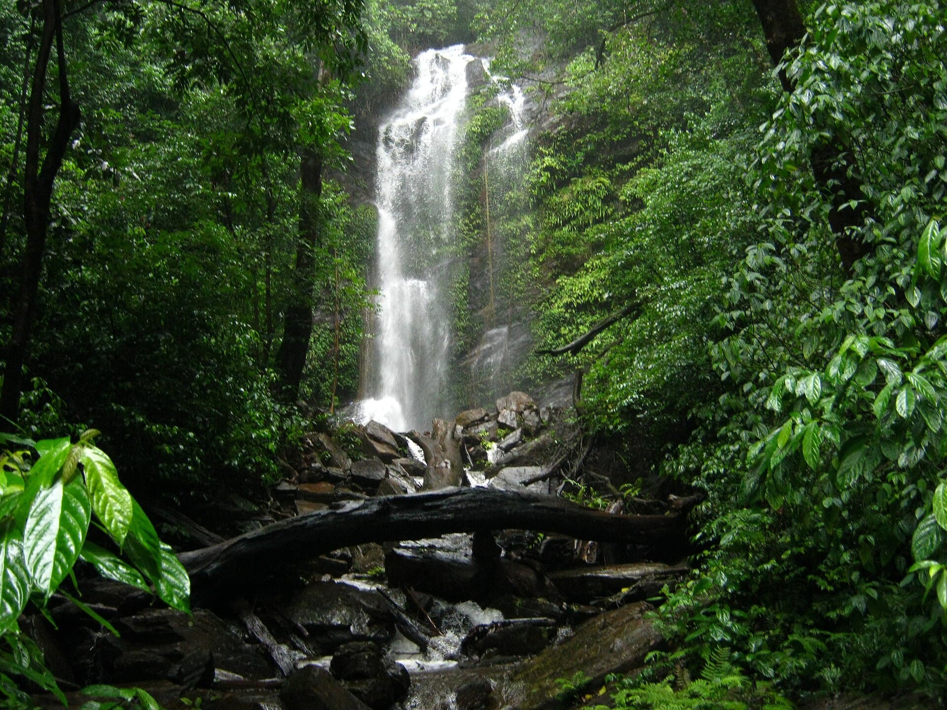 Hidlumane Falls on the Kodachadri approach trail