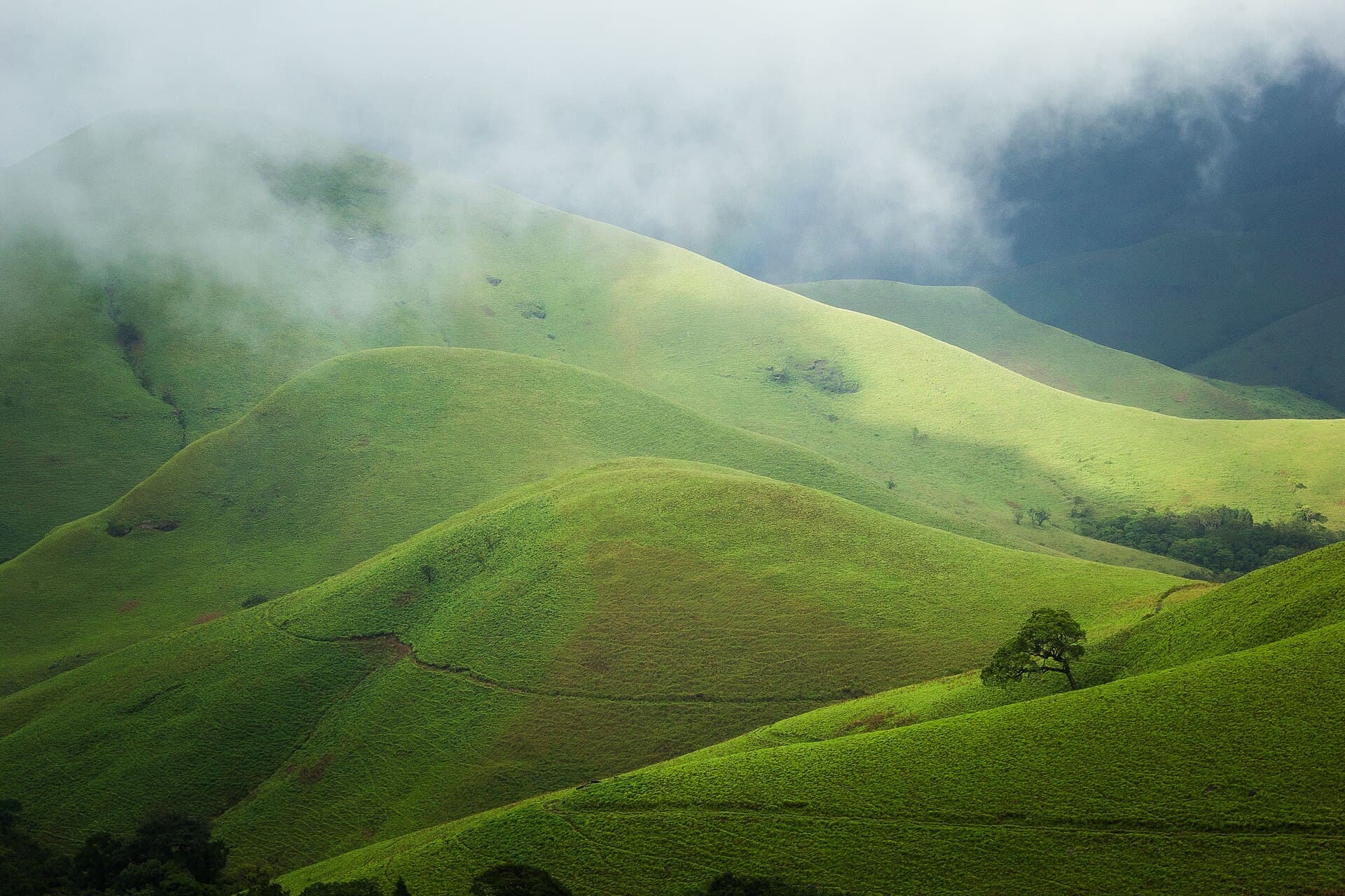 Undulating open grassland on the Kudremukh ridge
